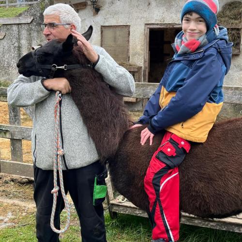 Schüler reitet auf Alpaka
