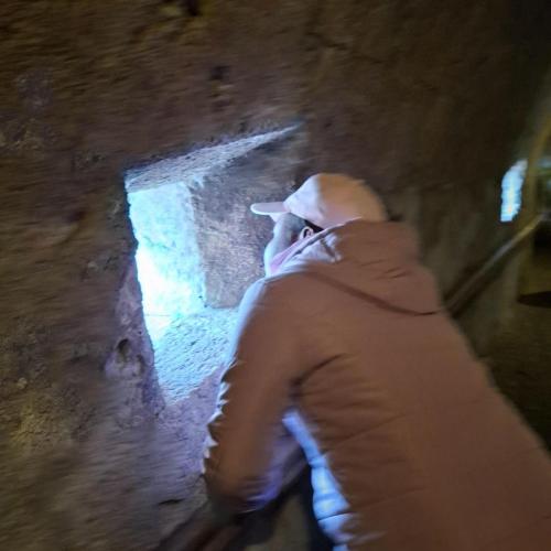 Auf der Burg 11